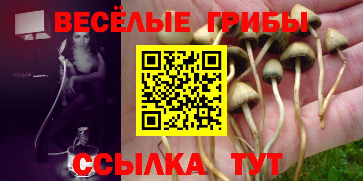 Галлюциногенные грибы ЛСД  купить   Галлюциногенные грибы GOLDEN TEACHER  Кострома  Вход с VPN 