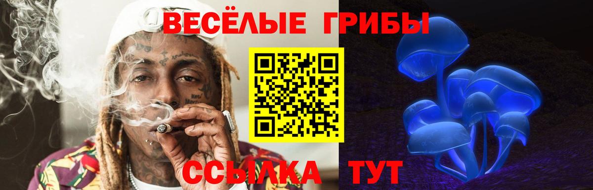 Галлюциногенные грибы мухоморы Кострома